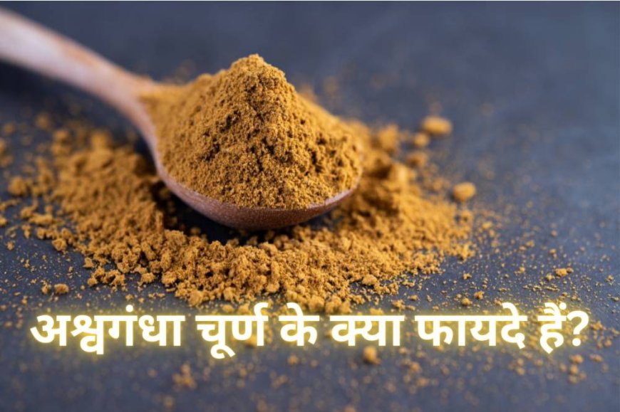 अश्वगंधा चूर्ण के क्या फायदे हैं? क्या यह सच में एक चमत्कारी चूर्ण है जो तनाव, इम्युनिटी और ऊर्जा बढ़ाता है?